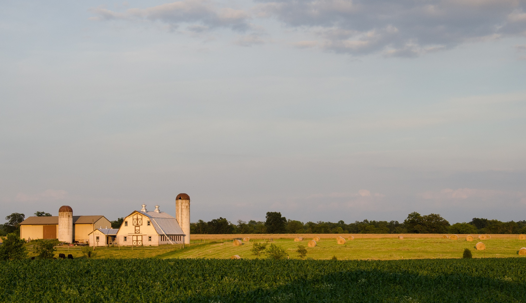 Bayer, Monsanto and Big Data: Who will control our food system in the era of digital agriculture and mega-mergers?