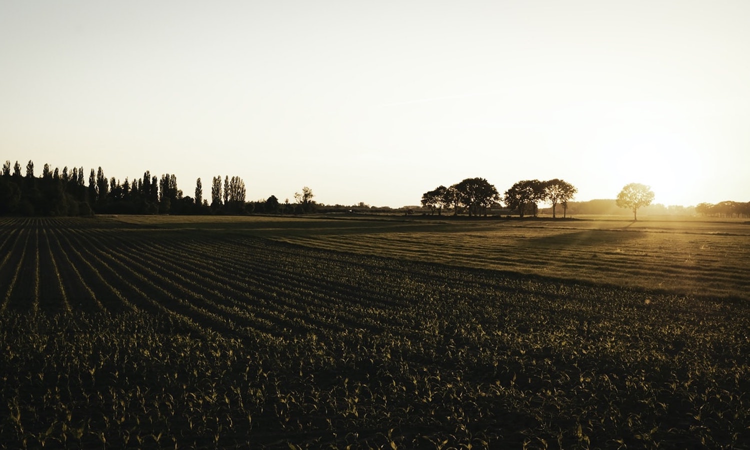 Biden’s ambitious goals for climate and agriculture require bolder strategies