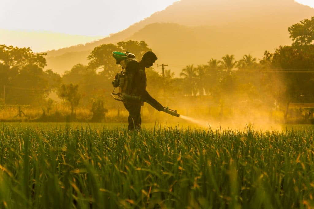 The human cost of a perfect lawn